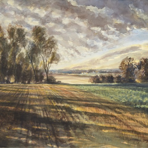 Suffolk fields, Rupert Brown