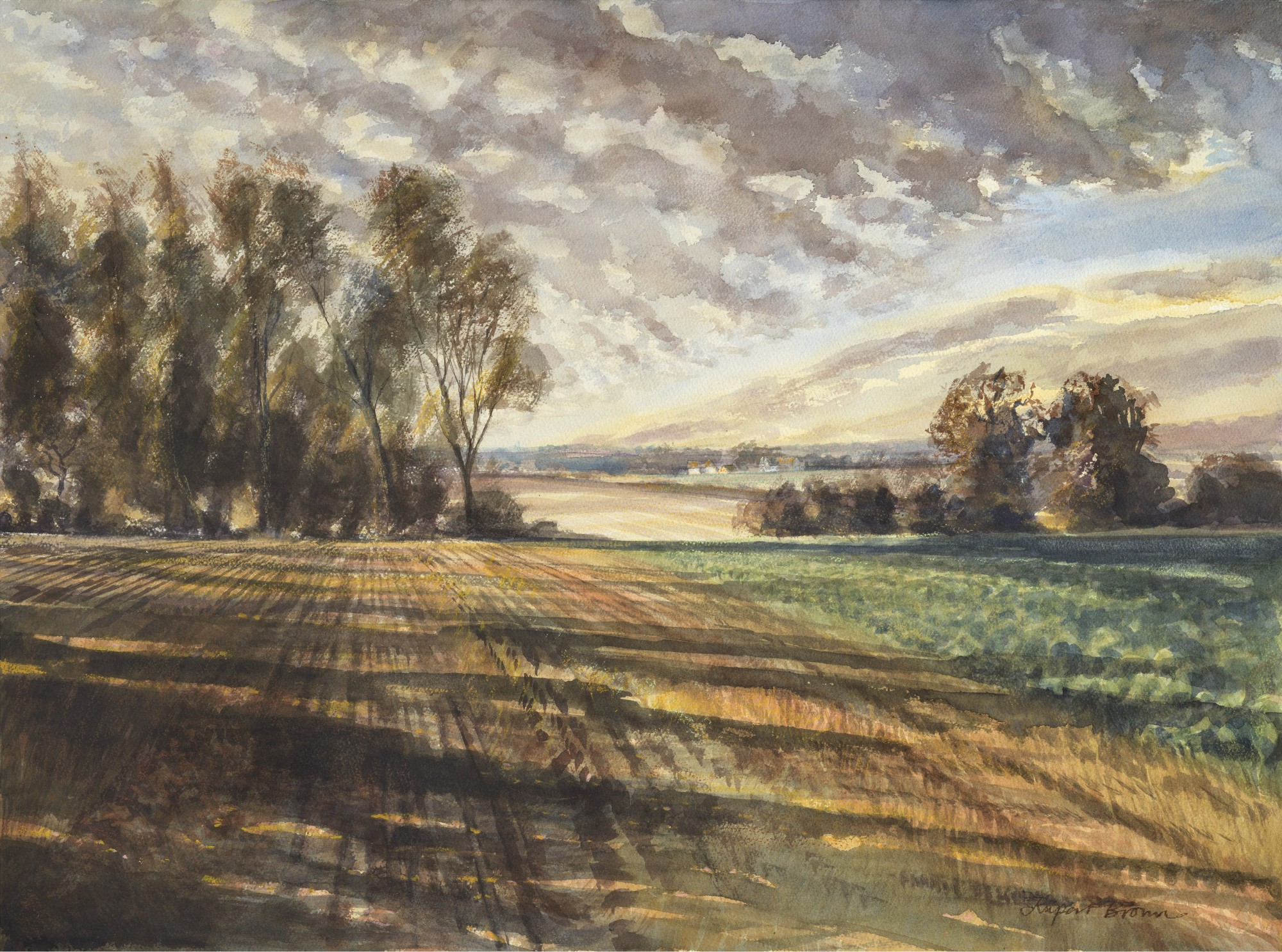 Suffolk fields, Rupert Brown